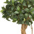 4' Sweet Bay Double Ball Topiary Silk Artificial Tree - IMAGE 5