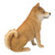 16" Brown and White Shiba Inu Sitting Outdoor Statue - IMAGE 5