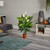 3.5' Flowering Artificial Spathiphyllum Plant - IMAGE 3