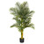 5' Golden Cane Palm Artificial Tree with Black Pot - IMAGE 1