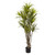 5' Artificial Dracaena Silk Tree in Black Pot - IMAGE 1