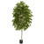 6' Birch Artificial Decorative Tree with Black Pot - IMAGE 1