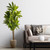 5.5' Artificial Dracaena Plant in Decorative Planter - IMAGE 2