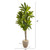 5.5' Artificial Dracaena Plant in Decorative Planter - IMAGE 3