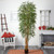Two-Tone Bamboo Silk Artificial Potted Tree - 8' - IMAGE 1