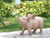 Pig with Wings Outdoor Garden Statue - 12.5" - Pink - IMAGE 5