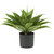 25" Artificial Silk Agave Plant with Black Pot - IMAGE 1