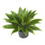 25" Artificial Silk Agave Plant with Black Pot - IMAGE 2