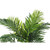 Palm Artificial Faux Table Plant in Black Pot - 33.5" - IMAGE 5