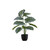 Calathea Artificial Faux Table Plant in Black Pot - 23.5" - IMAGE 1