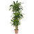 5' Artificial Corn Stalk Dracaena Silk Plant with Decorative Pot - IMAGE 1