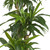 5' Artificial Corn Stalk Dracaena Silk Plant with Decorative Pot - IMAGE 4