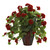 24" Red Geranium Artificial Plant in Decorative Planter - IMAGE 1