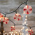 Peppermint Candies Christmas Lights - 6ft Green Wire - 10ct - IMAGE 1
