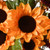 Leafy Sunflower Artificial Spring Floral Wreath, 20-Inch - IMAGE 3