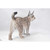 Wildlife Outdoor Lynx Statue - 28"- Brown and Black - IMAGE 5