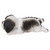 Shih Tzu Puppy Sleeping Outdoor Garden Statue - 8.5" - Black and White - IMAGE 4