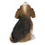 Howling Beagle Puppy Outdoor Garden Statue - 6.5" - IMAGE 3