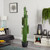 6.5’ Artificial Cactus Plant in Black Planter - IMAGE 2