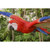 Flying Scarlet Macaw Outdoor Garden Statue - 17.75" - IMAGE 5