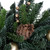 Real Touch™ Pre-Decorated Pine with Pine Cones Artificial Christmas Wreath  - 22" - Unlit - IMAGE 6