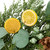 Real Touch™️ Cypress, Lemon and Eucalyptus Artificial Christmas Wreath - 22" - Unlit - IMAGE 4
