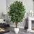 6' Ficus Artificial Tree in White Planter - IMAGE 2