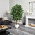 6' Ficus Artificial Tree in White Planter - IMAGE 3