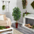 5' Ficus Artificial Tree in Bamboo Planter - IMAGE 2