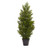 3' Mini Artificial Cedar Pine Tree - IMAGE 1