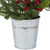 Pre-Lit LED Mixed Pine Potted Christmas Tree with Berries and Cardinals - 2' - Warm White Lights - IMAGE 6