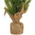 Mini Christmas Pine Artificial Christmas Trees with Burlap Base - 18" - Set of 3 - IMAGE 5
