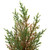 Mini Cedar Artificial Christmas Trees - 10" - Set of 3 - IMAGE 4