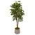 4' Fig Artificial Tree in Gold Trimming Stoneware Planter - IMAGE 1