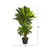 3' Corn Stalk Dracaena Artificial Potted Plant - IMAGE 4