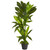3' Artificial Dracaena Potted Plant - IMAGE 1