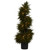 3.5' Pre-Lit Artificial Cedar Spiral Potted Topiary Plant - IMAGE 3