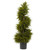 3.5' Pre-Lit Artificial Cedar Spiral Potted Topiary Plant - IMAGE 4