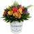 Wooden Artificial Spring Floral Arrangement with "Flowers and Garden" Pot - 8" - IMAGE 1