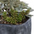 Mix of Artificial Desert Succulents - 11" - Green - IMAGE 3