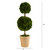 2.5' Artificial Preserved Boxwood Double Ball Topiary Tree in Decorative Planter - IMAGE 3