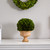 12" Artificial Boxwood Topiary Ball Preserved Plant in Decorative Urn - IMAGE 2