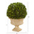 12" Artificial Boxwood Topiary Ball Preserved Plant in Decorative Urn - IMAGE 4
