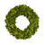 Preserved Boxwood Artificial Wreath, 14-Inch, Unlit - IMAGE 1