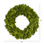 Preserved Boxwood Artificial Wreath, 14-Inch, Unlit - IMAGE 4