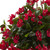 28" Artificial Bougainvillea Plant with Hanging Basket - IMAGE 4