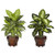 Set of 2 Artificial Silk Dieffenbachia Plant with Wood Vase 20.5" - IMAGE 1