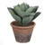 Potted Artificial Plush Cactus Plant - 9.5" - IMAGE 1