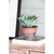 Potted Artificial Plush Cactus Plant - 9.5" - IMAGE 4