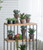 Potted Artificial Plush Cactus Plant - 9.5"